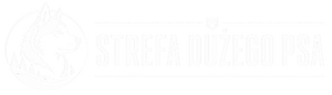 Strefa Dużego Psa